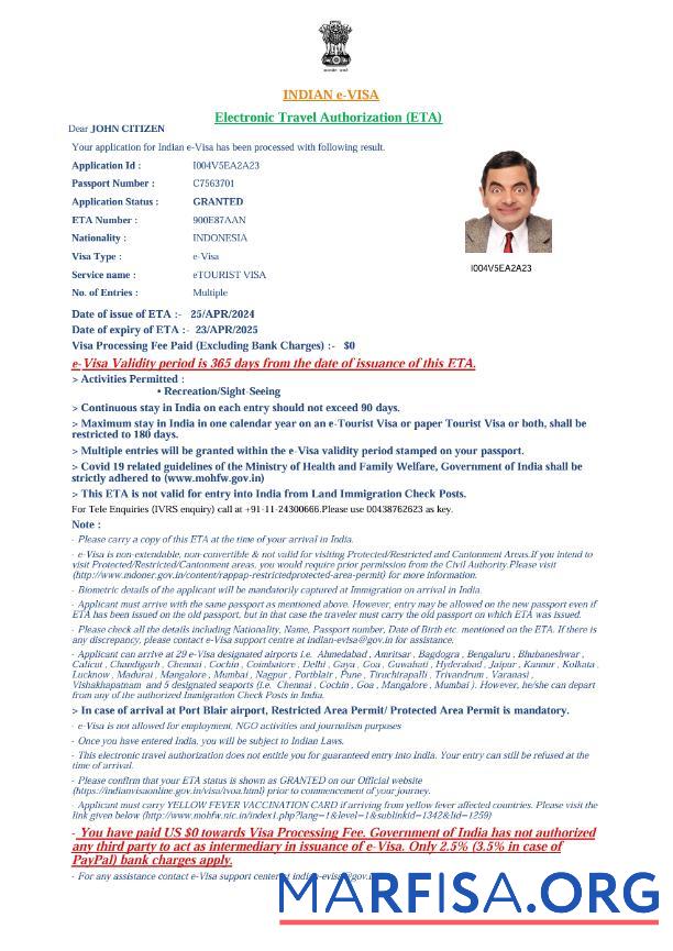 Printable India e visa template in Word and Pdf formats, version 4